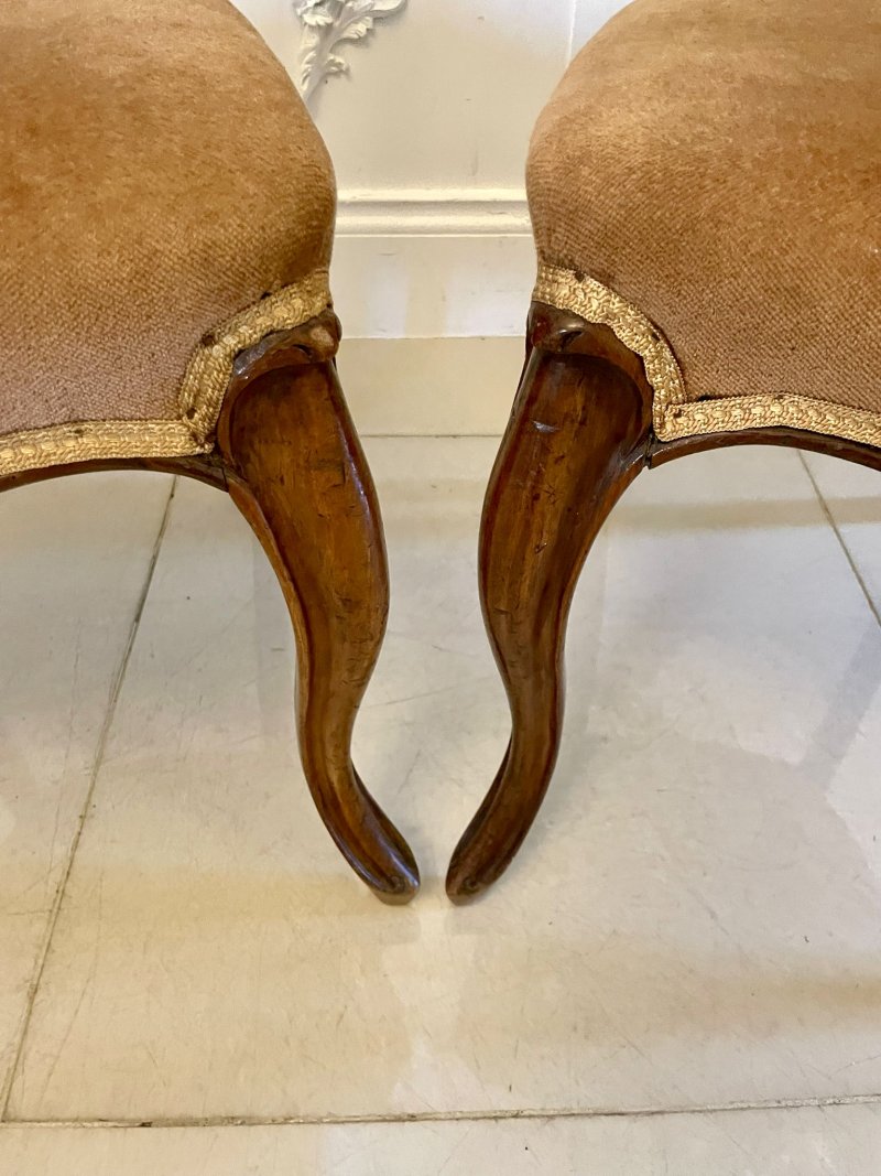 Quality Set of Six Antique Victorian Carved Walnut Balloon-Back Dining Chairs